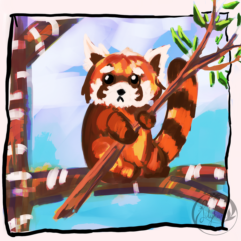 Red Panda